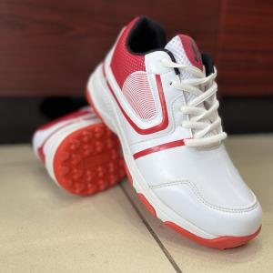 Ca pro - 40 shoes