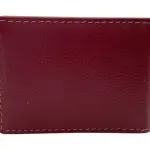 Card Case Compact Size 12 Card Album # 528