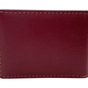 Card Case Compact Size 12 Card Album # 528