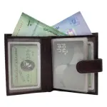 Card Case Small Size Wallet 20 Card Album Loop Lock # 1865ML