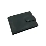 Compact Multiple Cards & Cash # 528ML