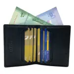Credit Cardholder & Compact Wallet # 1654