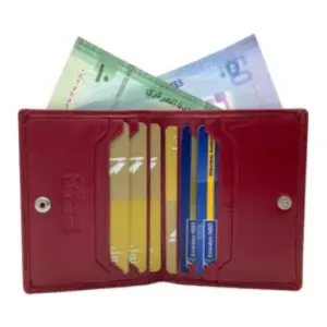 Credit Cardholder & Compact Wallet # 1654L
