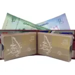 Card Case Small Wallet 12 Card Album Loop Lock + Coin Pocket # JD-689D