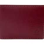 Card Case Compact Size 12 Card Album # 528