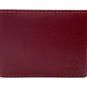 Card Case Compact Size 12 Card Album # 528